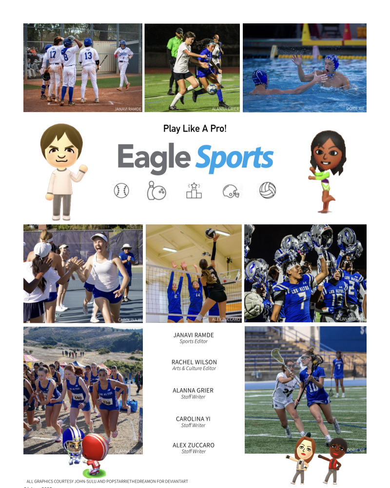 Eagle Sports